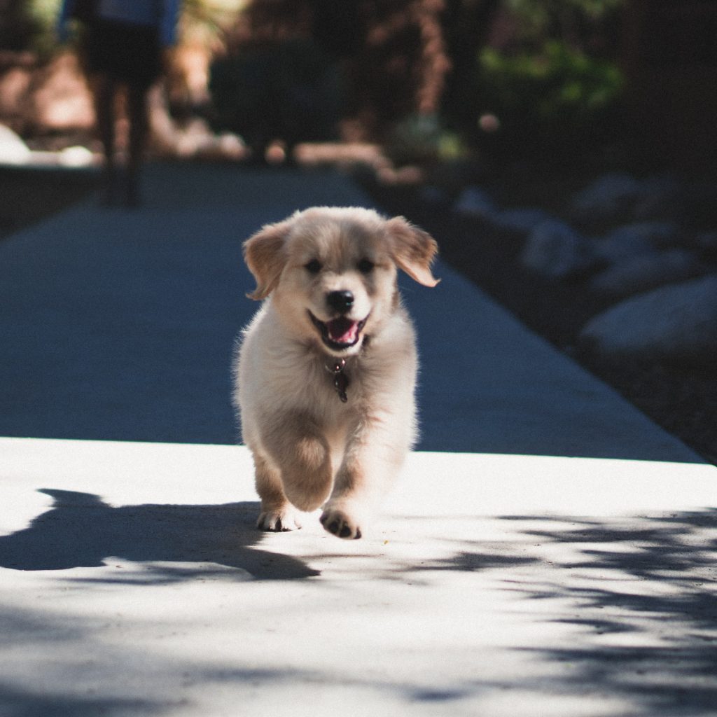 Andrew Schultz Dtsdd968mpw Unsplash