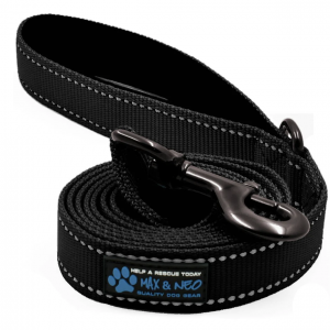 Dog belt