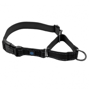 Dog Belt