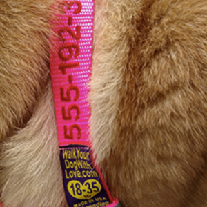 Pink strap
