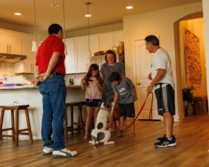 44fc608a C132 4fc3 B7fd 9bbe9252881b Scaled 1024x819 1