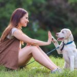 Adobestock 210471653 Scaled 1024x684 1 1