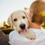 Adorable 3344414 1920 1024x1024 1