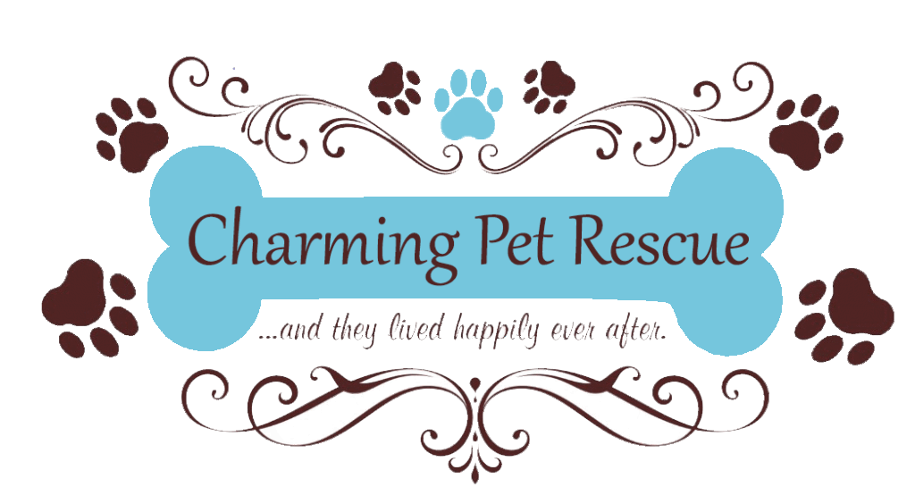 Charming Pet Rescue 1024x564 1