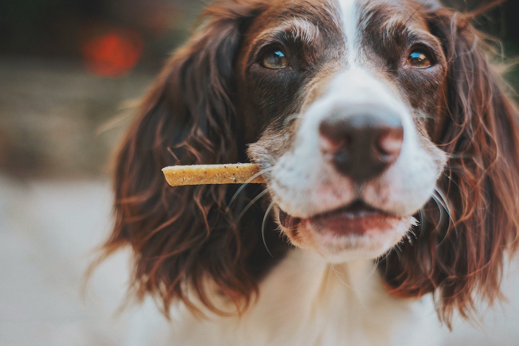 James Lacy 5w3oin 0lzs Unsplash