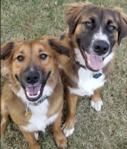 Screen Shot 2021 08 06 At 7.59.26 Pm